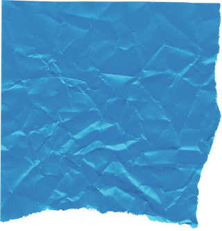 Ripped Paper
