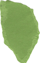 Green Colored Paper